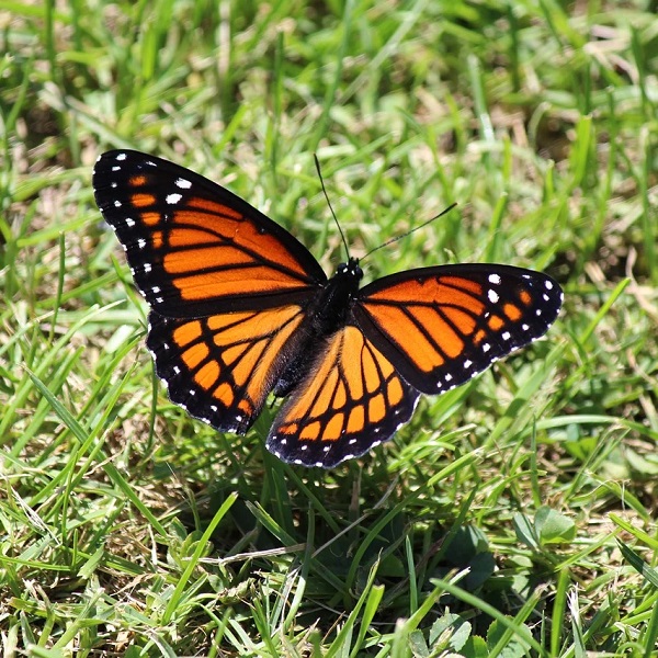 Nothing Happens Until The Pain Of Remaining The Same Outweighs The Pain Of Change 是甚麼意思? Nothing Happens Until The Pain Of Remaining The Same Outweighs The Pain Of Change 是甚麼意思?